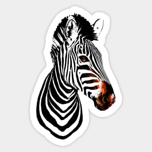 Zebra Black Stripes Sticker